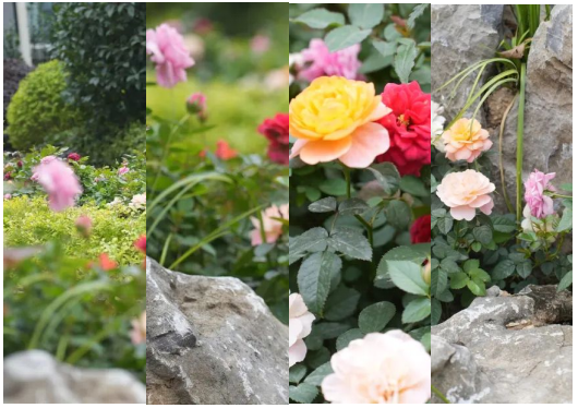 微信圖片_20231206171341 微信圖片_20231206171341